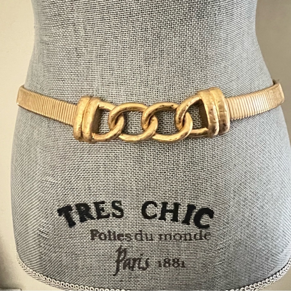Zara Gold Metal Belt Hook closure